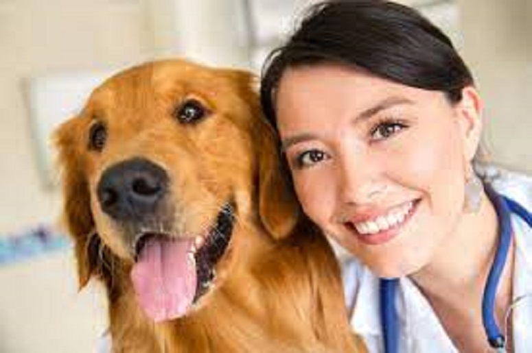 De ce este important pentru tine ca medic veterinar sa citesti cartea Kirk’s Current Veterinary Therapy XV, 15th Edition?